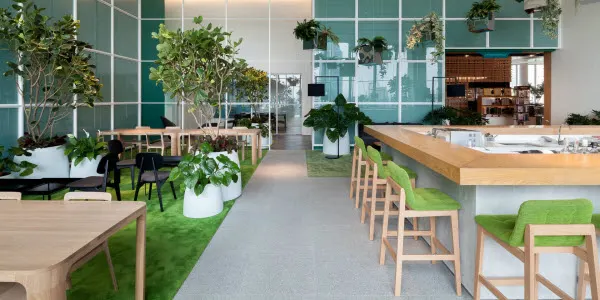 CAD Design in Florida for Architecture, Interior Design